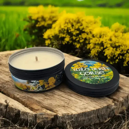 Wild Irish Gorse candle in a black tin on a tree stump, yellow gorse behind